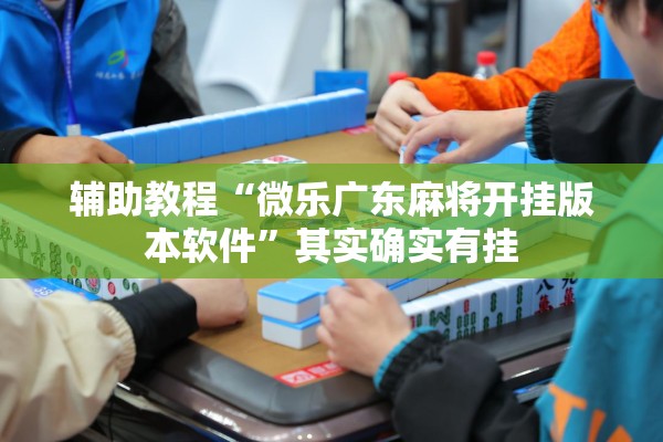 辅助教程“微乐广东麻将开挂版本软件	”其实确实有挂