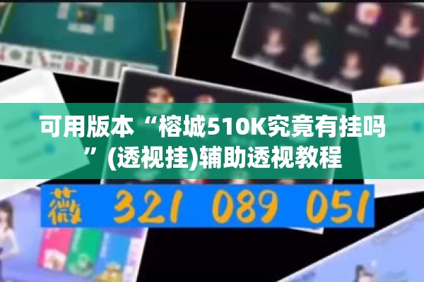 可用版本“榕城510K究竟有挂吗”(透视挂)辅助透视教程