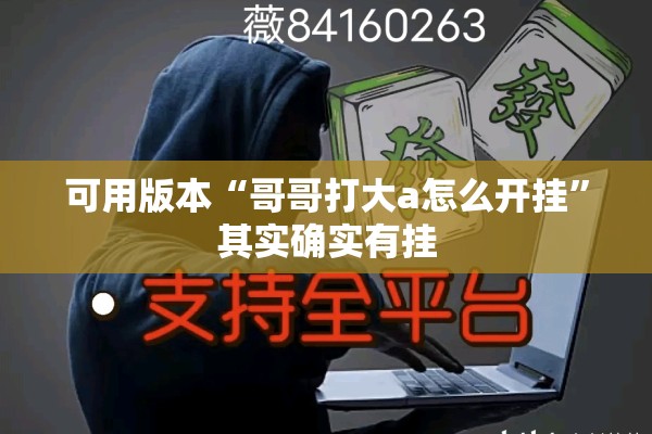 可用版本“哥哥打大a怎么开挂”其实确实有挂