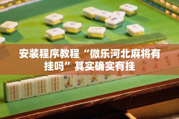 安装程序教程“微乐河北麻将有挂吗	”其实确实有挂