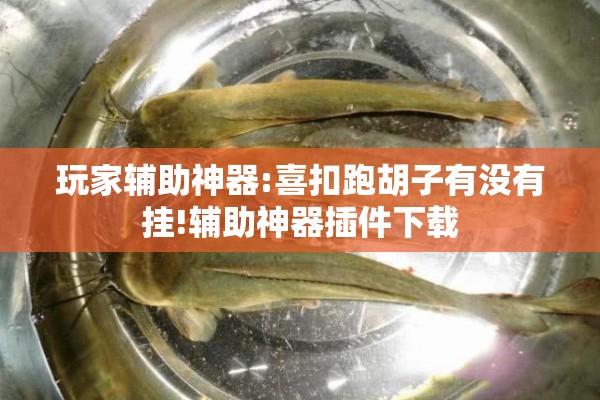 玩家辅助神器:喜扣跑胡子有没有挂!辅助神器插件下载 玩家辅助神器:喜扣跑胡子有没有挂!辅助神器插件下载