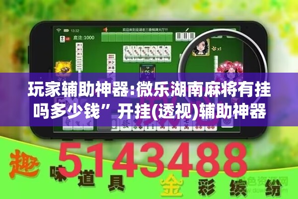 玩家辅助神器:微乐湖南麻将有挂吗多少钱”开挂(透视)辅助神器