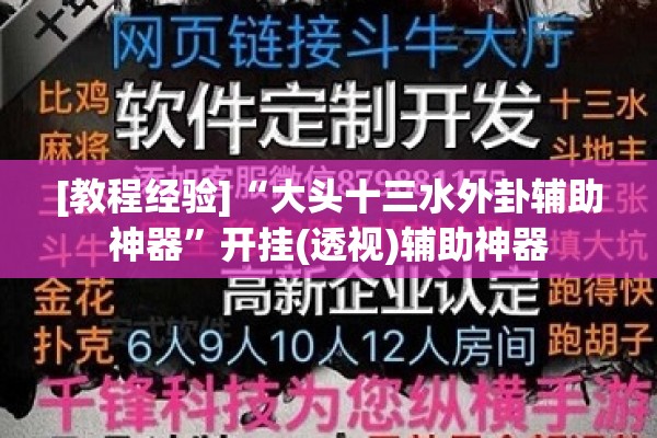 [教程经验]“大头十三水外卦辅助神器”开挂(透视)辅助神器