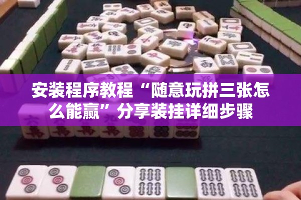 安装程序教程“随意玩拼三张怎么能赢”分享装挂详细步骤
