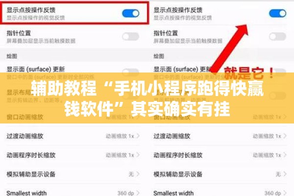 辅助教程“手机小程序跑得快赢钱软件	”其实确实有挂