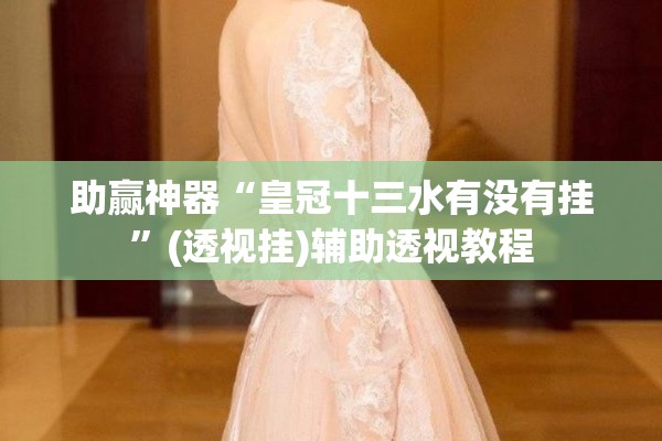 助赢神器“皇冠十三水有没有挂”(透视挂)辅助透视教程