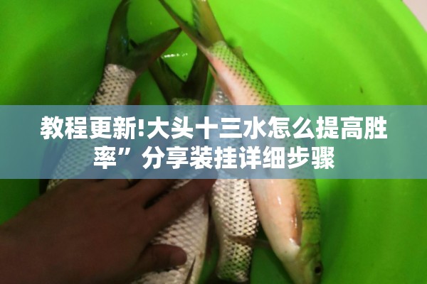 教程更新!大头十三水怎么提高胜率”分享装挂详细步骤