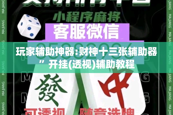 玩家辅助神器:财神十三张辅助器”开挂(透视)辅助教程