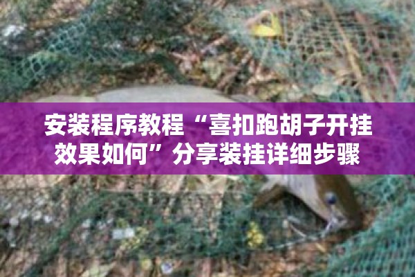 安装程序教程“喜扣跑胡子开挂效果如何	”分享装挂详细步骤