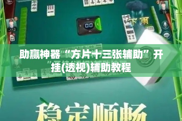 助赢神器“方片十三张辅助	”开挂(透视)辅助教程