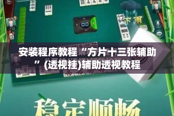 安装程序教程“方片十三张辅助	”(透视挂)辅助透视教程