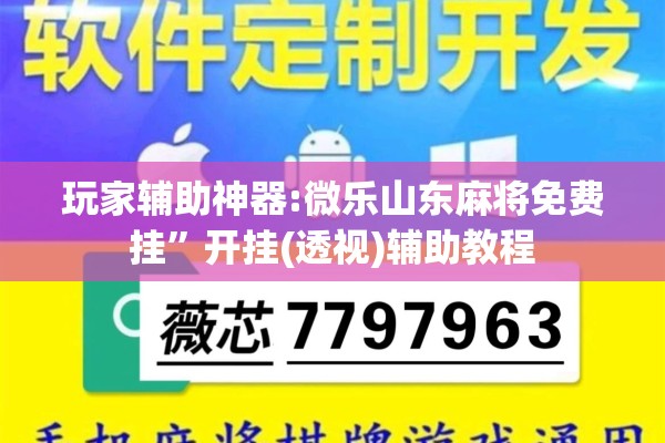 玩家辅助神器:微乐山东麻将免费挂”开挂(透视)辅助教程