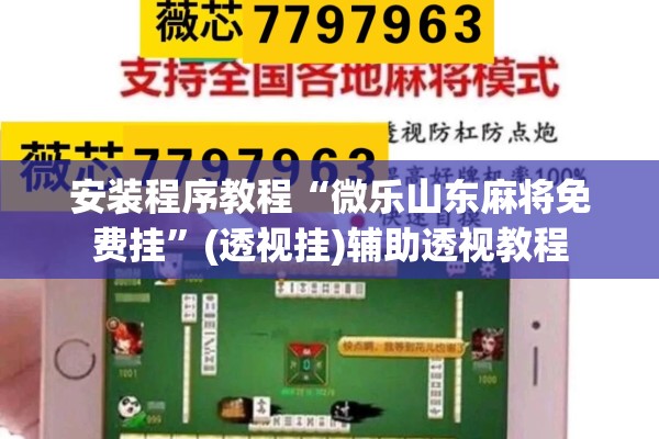 安装程序教程“微乐山东麻将免费挂”(透视挂)辅助透视教程