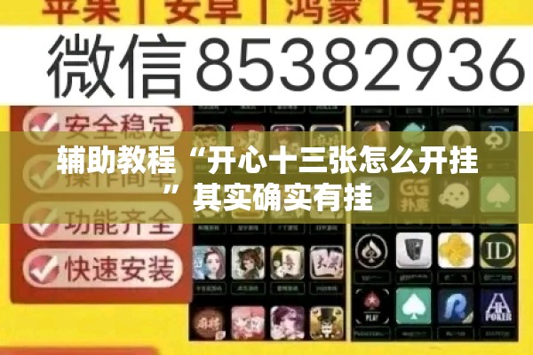 辅助教程“开心十三张怎么开挂”其实确实有挂