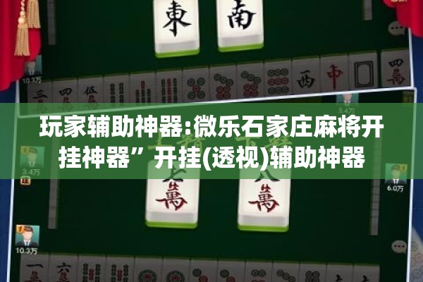 玩家辅助神器:微乐石家庄麻将开挂神器”开挂(透视)辅助神器