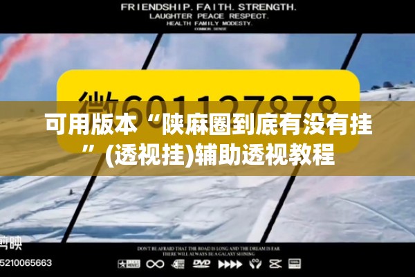 可用版本“陕麻圈到底有没有挂”(透视挂)辅助透视教程