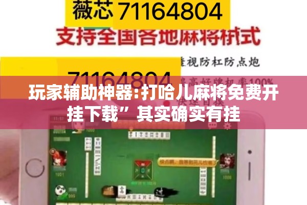 玩家辅助神器:打哈儿麻将免费开挂下载	”其实确实有挂
