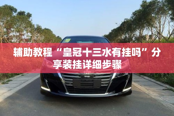 辅助教程“皇冠十三水有挂吗”分享装挂详细步骤
