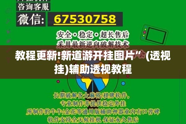 教程更新!新道游开挂图片”(透视挂)辅助透视教程
