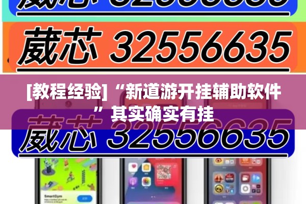 [教程经验]“新道游开挂辅助软件”其实确实有挂