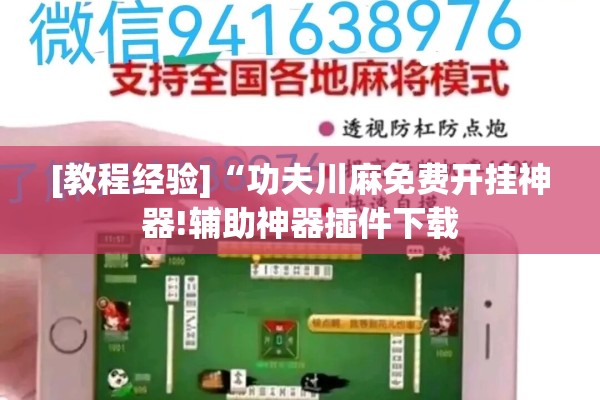 [教程经验]“功夫川麻免费开挂神器!辅助神器插件下载