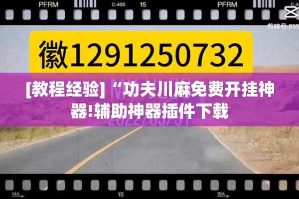 [教程经验]“功夫川麻免费开挂神器!辅助神器插件下载