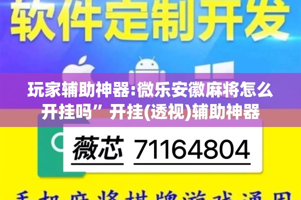 玩家辅助神器:微乐安徽麻将怎么开挂吗”开挂(透视)辅助神器