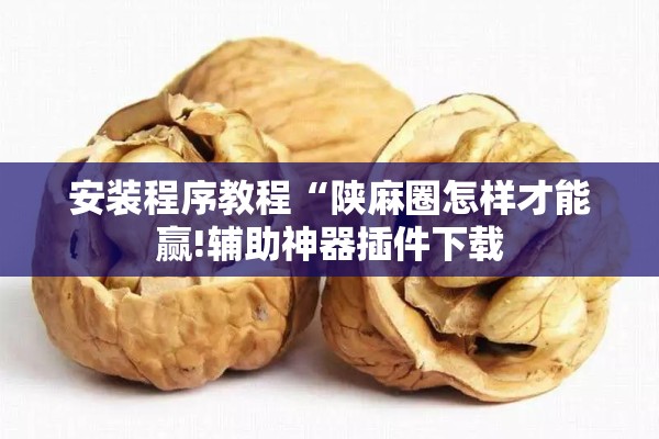 安装程序教程“陕麻圈怎样才能赢!辅助神器插件下载 安装程序教程“陕麻圈怎样才能赢!辅助神器插件下载