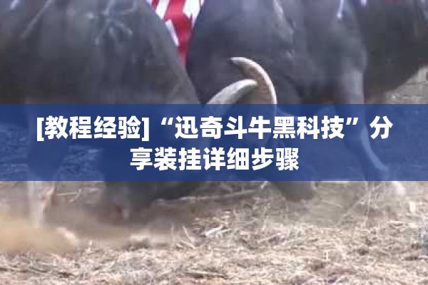 [教程经验]“迅奇斗牛黑科技”分享装挂详细步骤