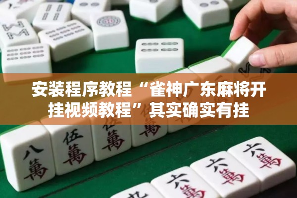 安装程序教程“雀神广东麻将开挂视频教程	”其实确实有挂