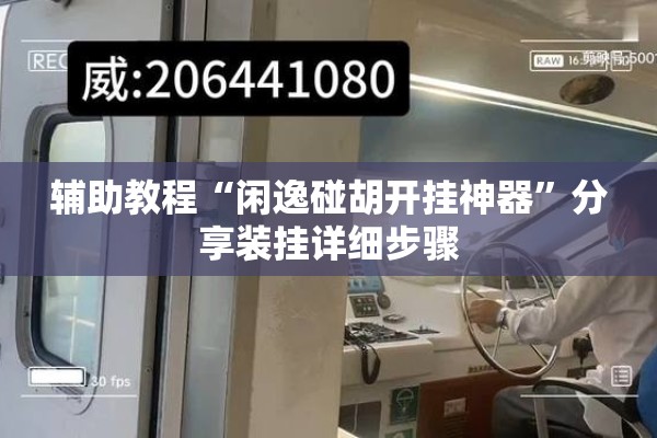 辅助教程“闲逸碰胡开挂神器”分享装挂详细步骤