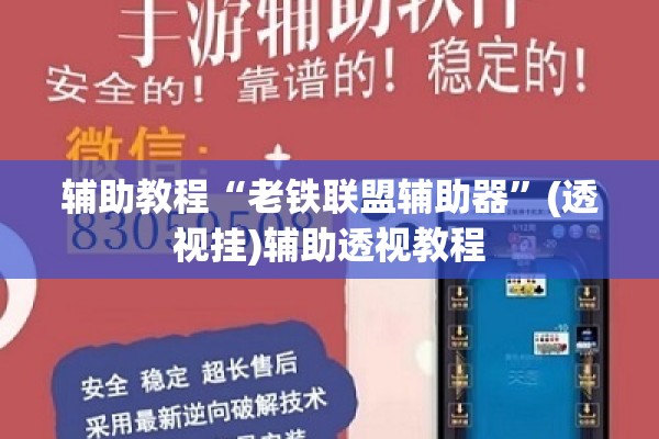 辅助教程“老铁联盟辅助器”(透视挂)辅助透视教程
