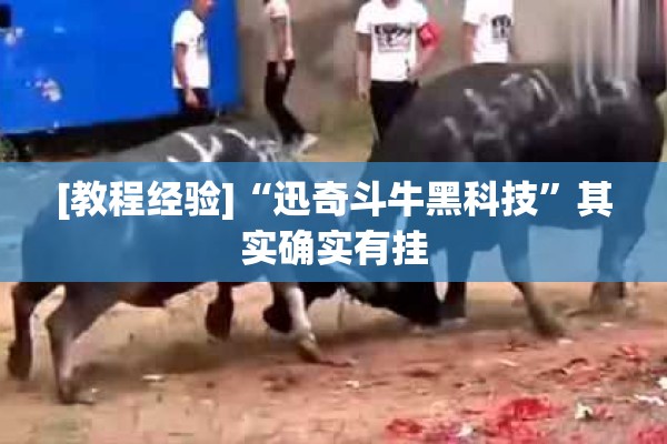 [教程经验]“迅奇斗牛黑科技”其实确实有挂
