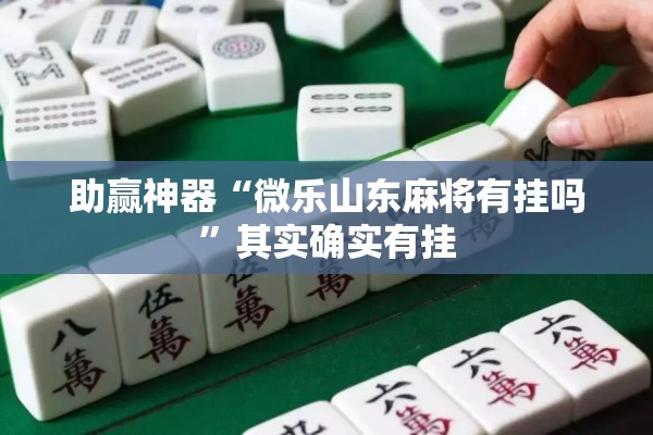 助赢神器“微乐山东麻将有挂吗”其实确实有挂