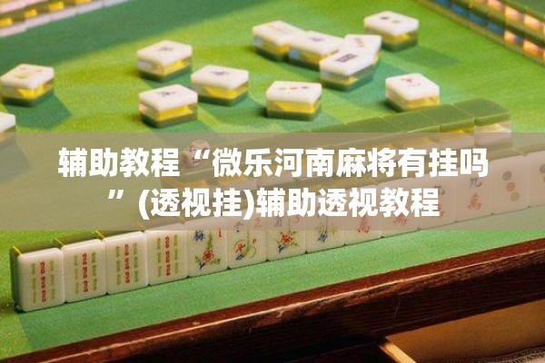 辅助教程“微乐河南麻将有挂吗”(透视挂)辅助透视教程