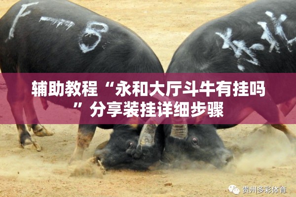 辅助教程“永和大厅斗牛有挂吗”分享装挂详细步骤
