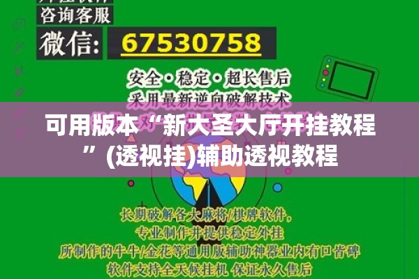 可用版本“新大圣大厅开挂教程”(透视挂)辅助透视教程