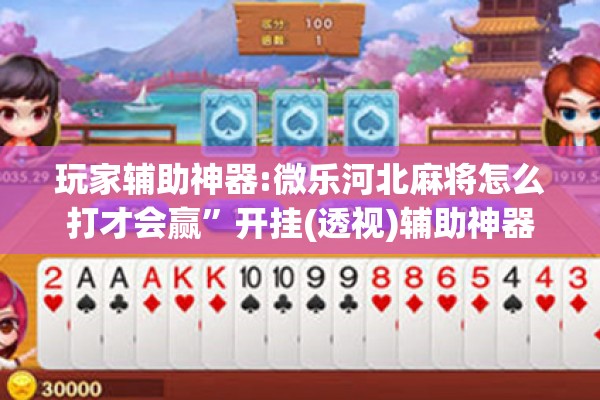 玩家辅助神器:微乐河北麻将怎么打才会赢”开挂(透视)辅助神器