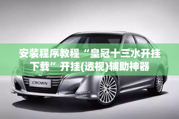 安装程序教程“皇冠十三水开挂下载”开挂(透视)辅助神器