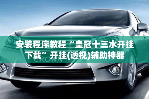 安装程序教程“皇冠十三水开挂下载”开挂(透视)辅助神器