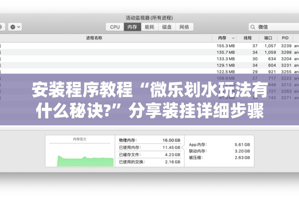 安装程序教程“微乐划水玩法有什么秘诀?	”分享装挂详细步骤