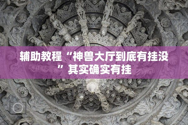 辅助教程“神兽大厅到底有挂没”其实确实有挂