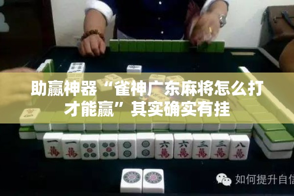 助赢神器“雀神广东麻将怎么打才能赢”其实确实有挂
